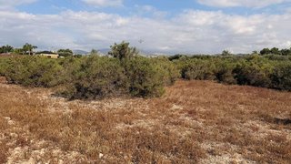 Terreno en venta en La Algoda - Matola - El Pla en Elche