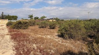 Terreno en venta en La Algoda - Matola - El Pla en Elche