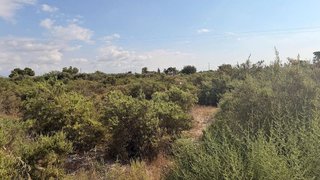 Terreno en venta en La Algoda - Matola - El Pla en Elche