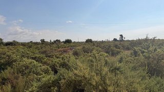 Terreno en venta en La Algoda - Matola - El Pla en Elche