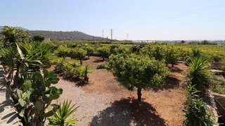 Terreno en venta en Centro en Alcanar