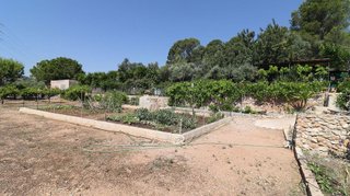 Terreno en venta en Centro en Alcanar