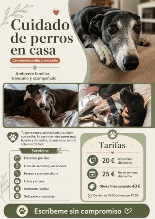 Cuido perros en casa | Fines de semana y vacacione