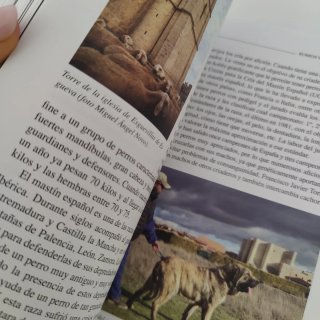 Libro