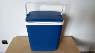 Nevera portátil 24L + 2 placas de hielo