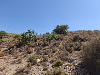 Terreno en venta en Antas