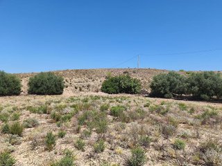 Terreno en venta en Antas