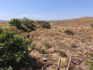 Terreno en venta en Antas