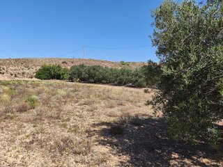 Terreno en venta en Antas