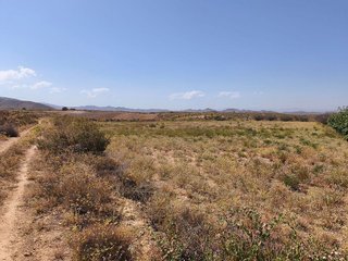 Terreno en venta en Antas