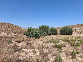 Terreno en venta en Antas