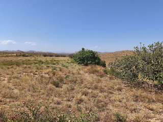 Terreno en venta en Antas