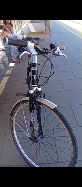 Bicicleta alemana cuidada