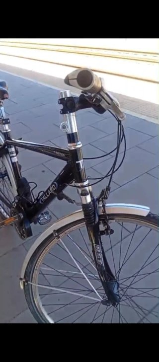 Bicicleta alemana cuidada