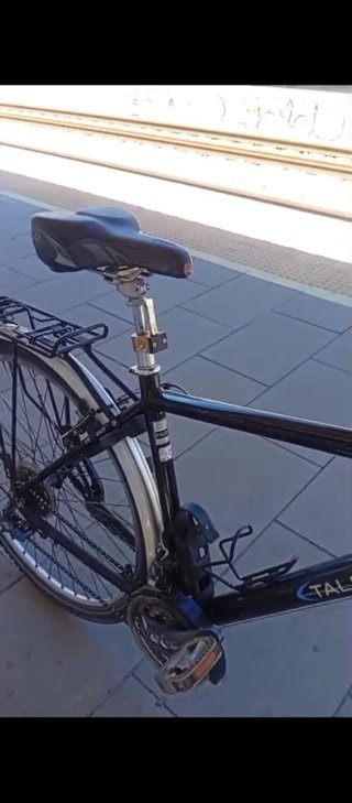 Bicicleta alemana cuidada