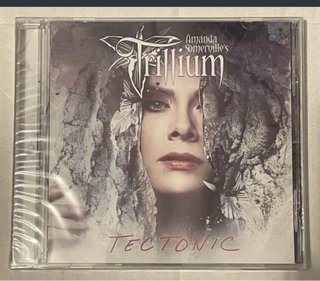 Lote cd