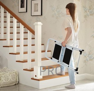 Escalera de tijera con 2 peldaños