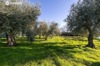 Casa rural en venta en Otura