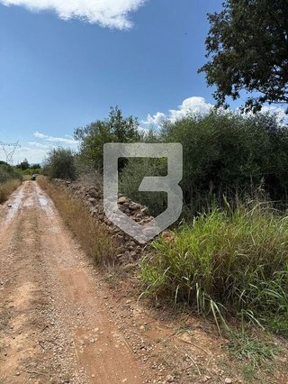 Terreno en venta en Madrigal en Villarreal