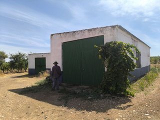 Terreno en venta en Torralba de Calatrava