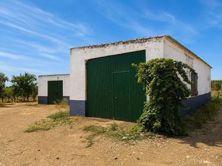Terreno en venta en Torralba de Calatrava