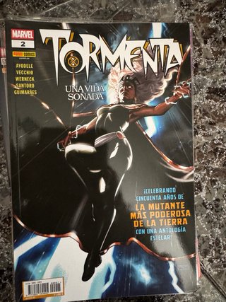 Tormenta desde las cenizas colección completa