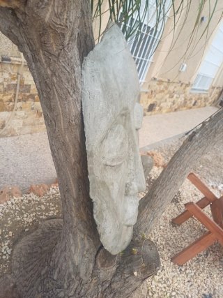 Escultura Cara de Piedra