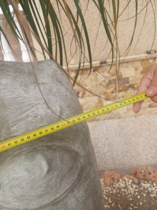 Escultura Cara de Piedra