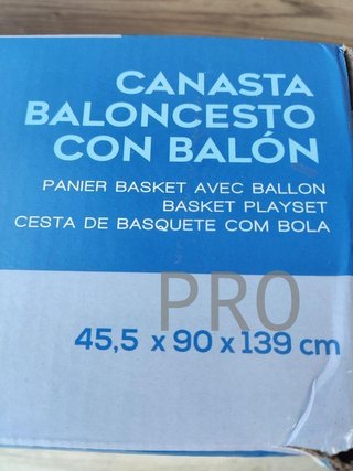 Canasta baloncesto con recogepelotas
