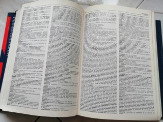 Dizionario inglese-ita e viceversa vintage(DeAgost
