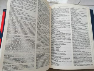 Dizionario inglese-ita e viceversa vintage(DeAgost