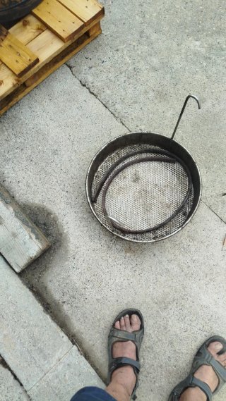 Material apícola