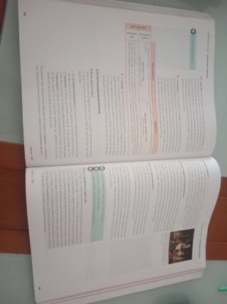 Lengua castellana y literatura 1, Le Bachillerato