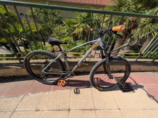 Bicicleta Collective C100