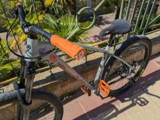 Bicicleta Collective C100
