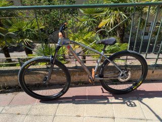 Bicicleta Collective C100