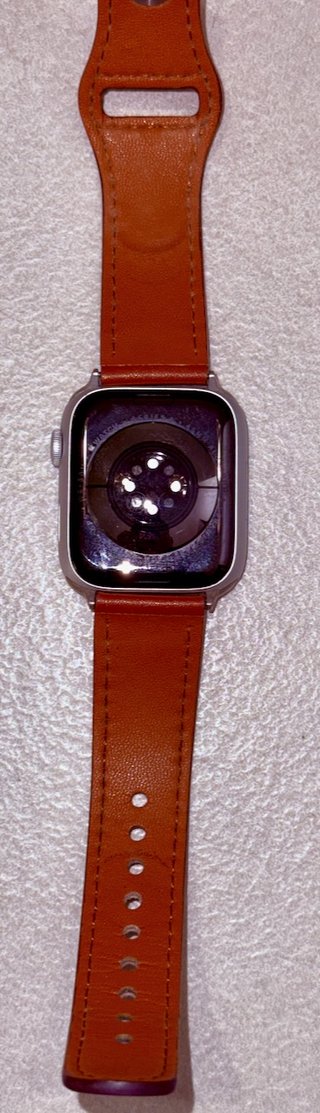 Apple Watch 9 45mm Argento