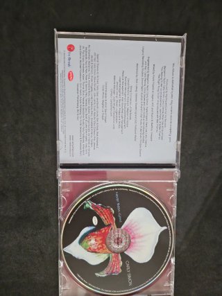 CD Carly Simon - Never Been Gone