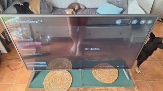 Televisor LG 42LF5800-ZA (SIN INTERNET)