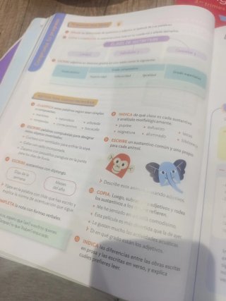 Lengua castellana, 5 Primaria