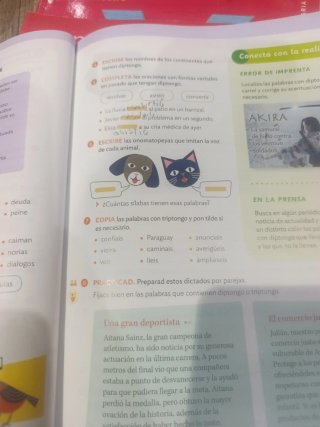 Lengua castellana, 5 Primaria