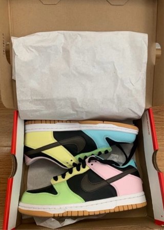 Nike Dunk Multicolor