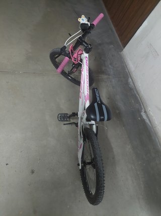 Bicicleta infantil 22 pulgadas