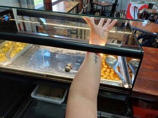 Vitrina Fría para Barra