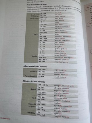Libro lengua catalana y literatura
