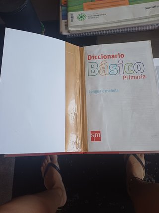 Diccionario Básico Primaria. Lengua española