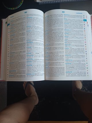 Diccionario Básico Primaria. Lengua española