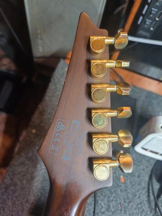Guitarra eléctrica Ibanez RG421 HPFM BRG