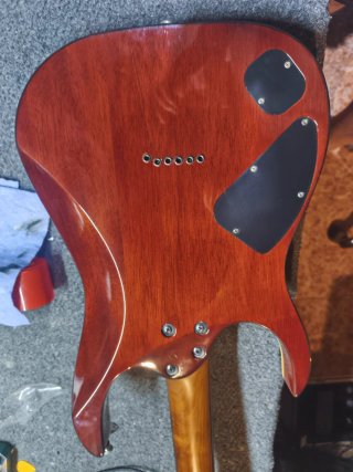 Guitarra eléctrica Ibanez RG421 HPFM BRG