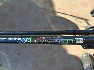 Canna da pesca per carpfishing